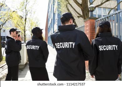 VIP & Executive Protection
